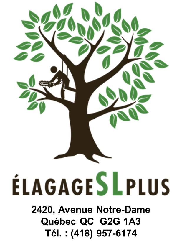 Élagage SL plus